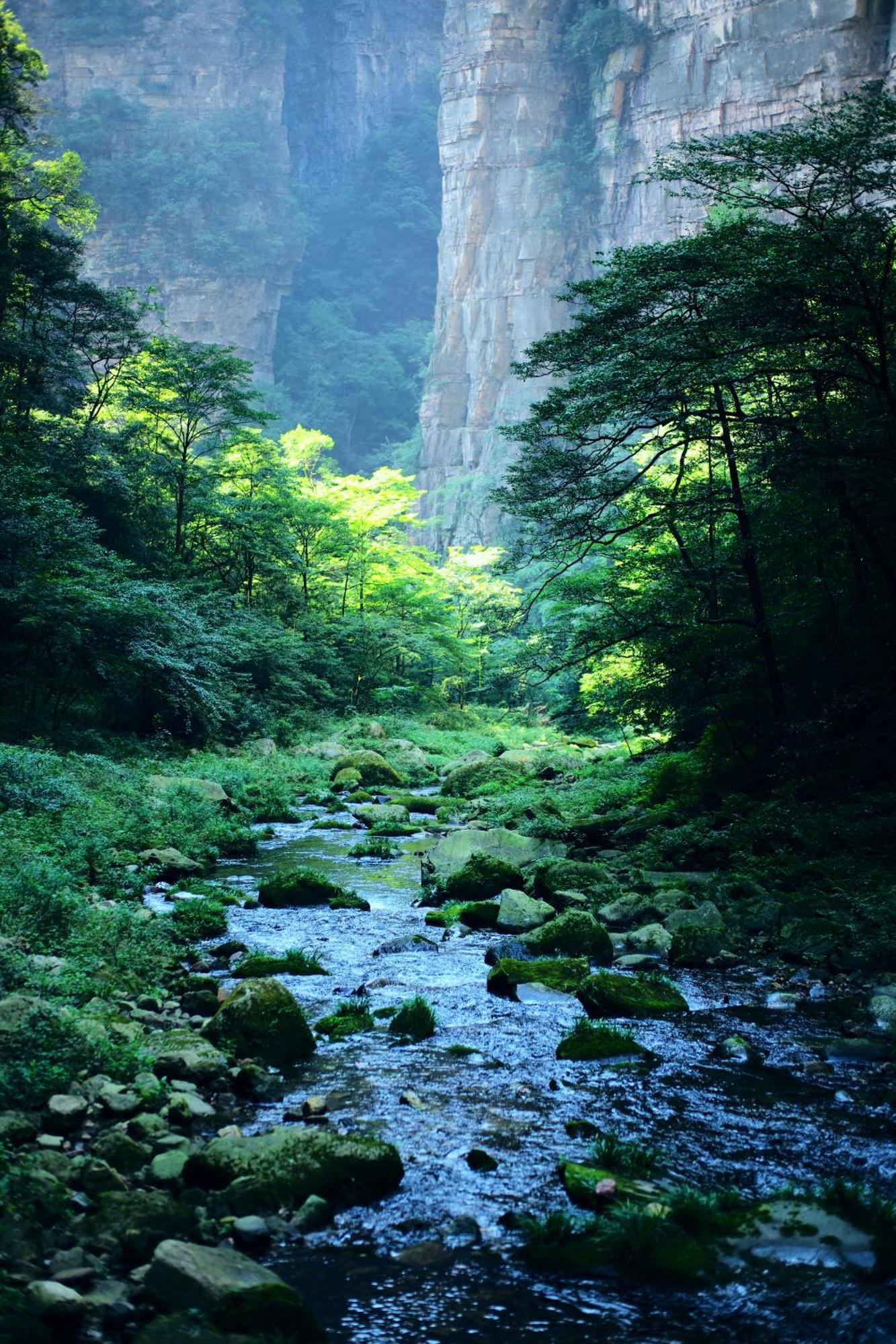 Zhangjiajie Forest Park Youth Hostel Εξωτερικό φωτογραφία